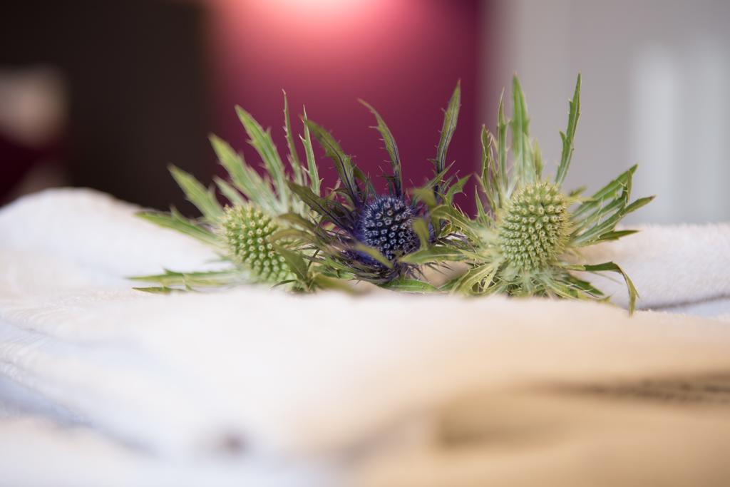The Spires Serviced Apartments Edinburgh Oda fotoğraf
